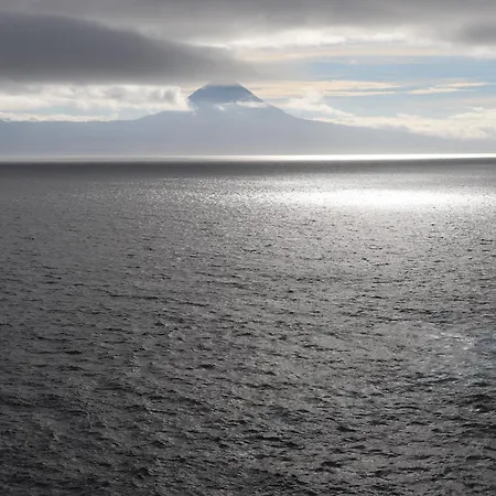 Mar D'abstração Appartement