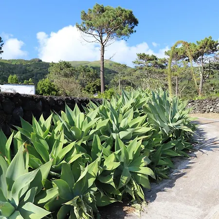 Mar D'abstração Appartement *