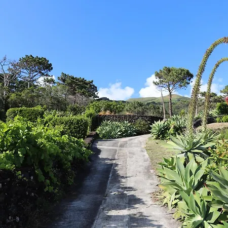 Mar D'abstração Appartement *