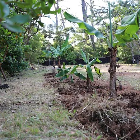 Mar D'abstração Appartement