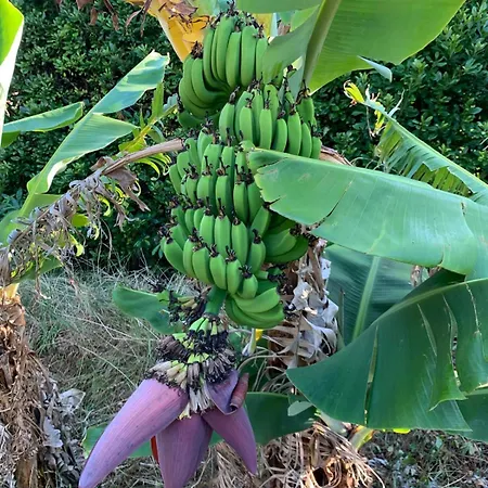 Appartement Mar D'abstração