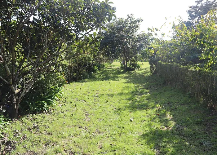 Mar D'abstração * Urzelina