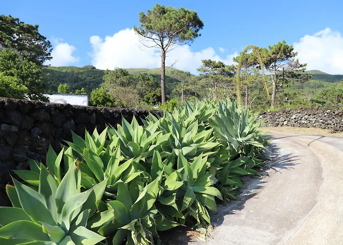 Mar D'abstração Apartamento *