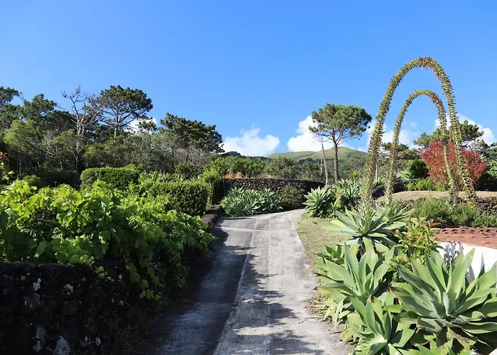 Mar D'abstração Apartamento *