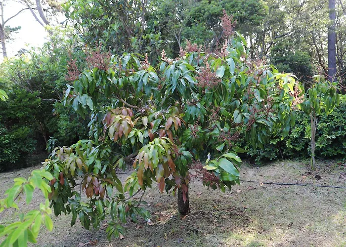 Mar D'abstração Apartamento *