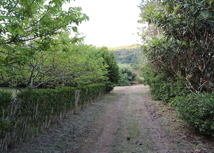 Mar D'abstração Apartamento