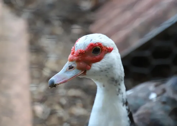 Apartamento Mar D'abstração *