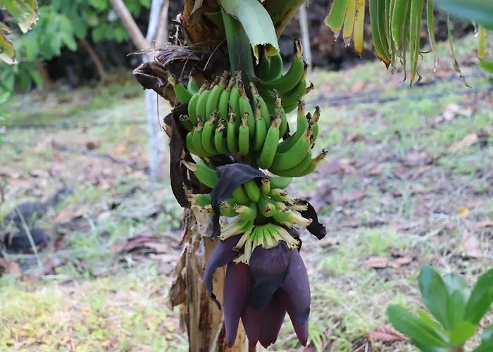 Apartamento Mar D'abstração