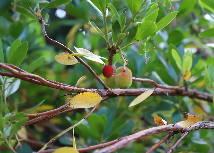 Apartamento Mar D'abstração