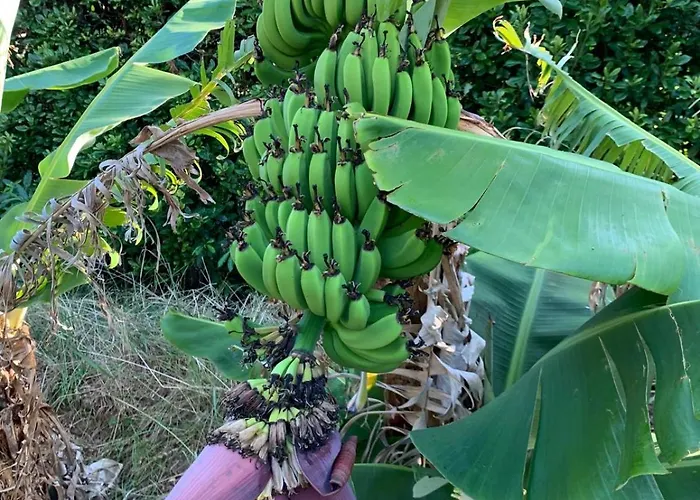 Apartamento Mar D'abstração