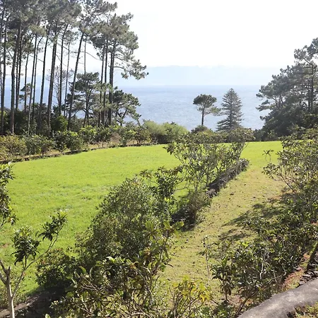 Mar D'abstracao Apartment *