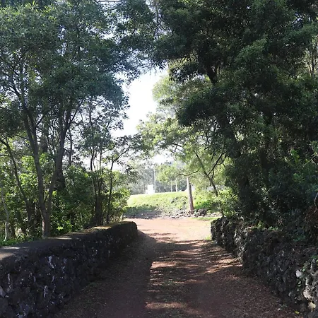 Apartment Mar D'abstracao *