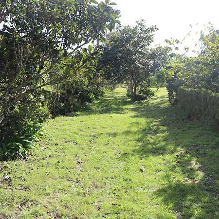 Mar D'abstracao * Urzelina