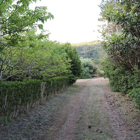 Mar D'abstracao Appartement