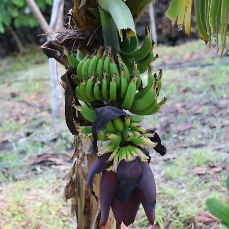 Apartment Mar D'abstracao