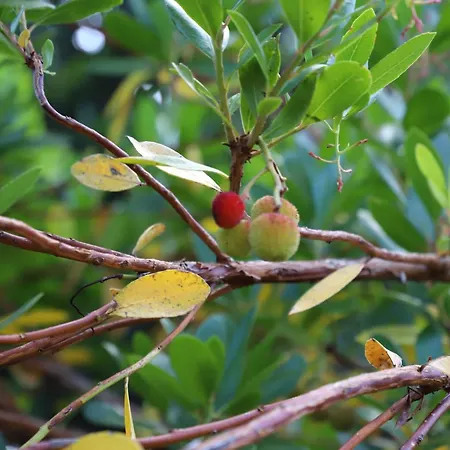 Appartement Mar D'abstracao