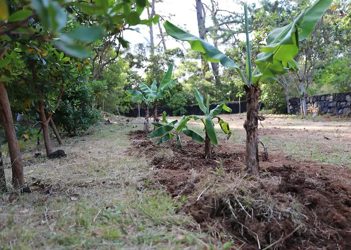 Mar D'abstracao דירה